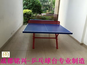 資陽乒乓球臺選購指南 品牌推薦與現貨優勢解析